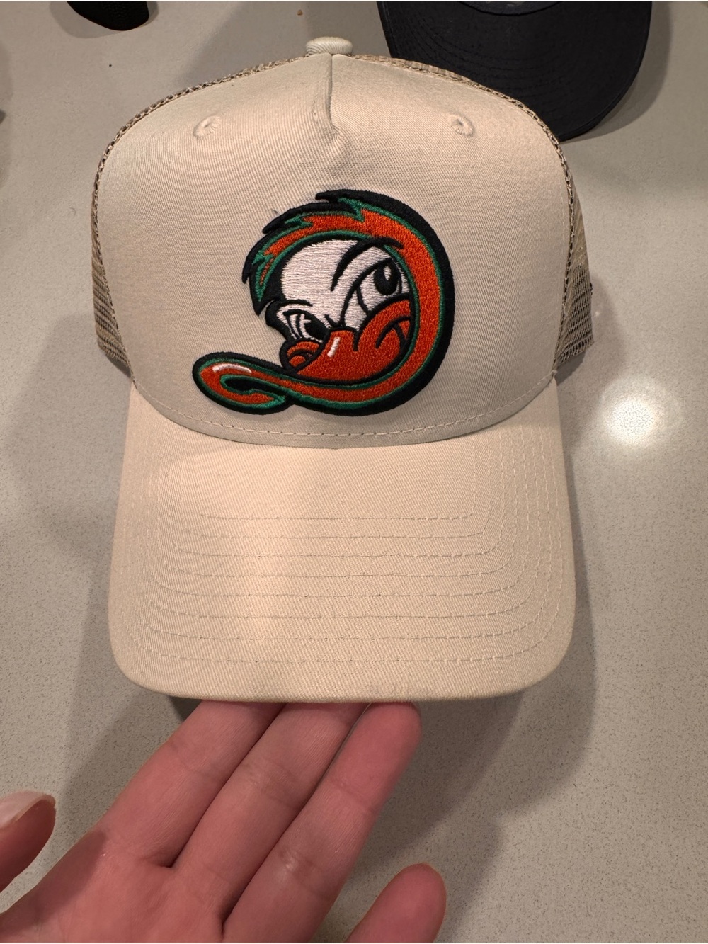 Long Island Ducks mesh SnapBack